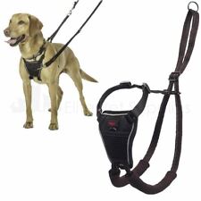 Halti pull training for sale  SHREWSBURY