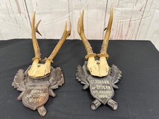 Antique roe deer for sale  LONDON