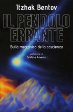 Libro pendolo errante usato Libro pendolo errante usato  Bellaria Igea Marina