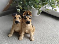 Sherratt simpson alsatian for sale  MANSFIELD