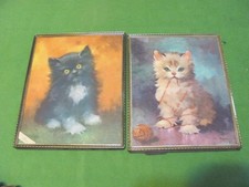 Lot vintage kitten for sale  Sergeant Bluff