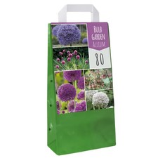 Bulbi allium mix usato  Grottaferrata