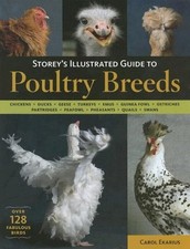 Storey illustrated guide for sale  Little Falls