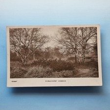 Chislehurst postcard c1910 for sale  TELFORD