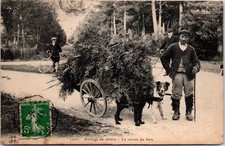 Loiret attelage chiens d'occasion  France