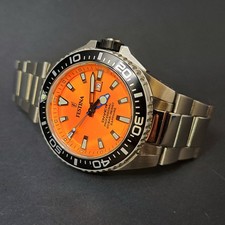 Festina diver professional gebraucht kaufen  Neudrossenfeld