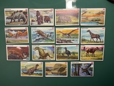 Dinosauri collezione carte usato  Pomezia