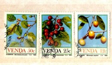 essbare Baumfrüchte/ Venda comprar usado essbare Baumfrüchte/ Venda comprar usado  Enviando para Brazil