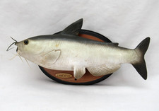 Cool catfish singing for sale  Little Falls