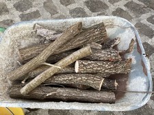 Legna ulivo ardere usato  Patti