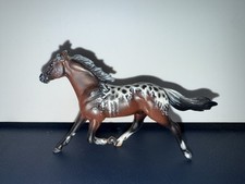 Hand painted appaloosa for sale  Astoria