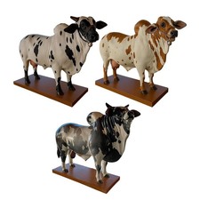 Schnapsspender mehrzweck getr� gebraucht kaufen Schnapsspender mehrzweck getr� gebraucht kaufen  Versand nach Germany