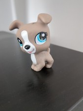 Figurine petshop 1463 d'occasion  Talant