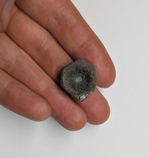 Ichthyosaur vertebra charmouth for sale  AXMINSTER