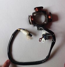 Lichtmaschine stator pegasus gebraucht kaufen  Hochheim am Main