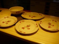 Villeroy boch tulipe gebraucht kaufen  Lingenfeld
