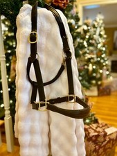 Aramas fancy raised for sale  West Chester