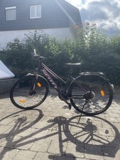 Lila scott damen gebraucht kaufen  Heidenheim an der Brenz
