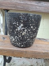 Architrctual mottled grey for sale  CHELTENHAM