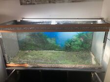 Aquarium rio 240 gebraucht kaufen  Heidenheim an der Brenz
