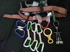 Salewa camalot moschettoni usato  Bedizzole