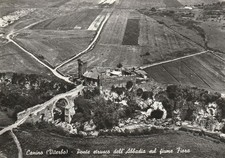 Cartolina canino viterbo usato  Ticengo
