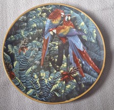 Scarlet macaws richard for sale Scarlet macaws richard for sale  NOTTINGHAM