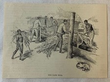 Gravura em revista 1894 ~ O MOINHO DE CANA ~ Mosquito Coast, Honduras comprar usado  Enviando para Brazil