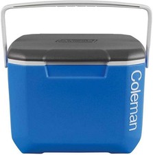 Coleman performance cooler usato  Italia