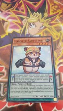 Carte hamster sauveteur d'occasion  Montigny-lès-Metz