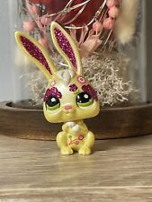 Petshop lapin lièvre d'occasion  Cusset