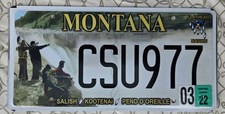 Montana flathead nation for sale  Missoula