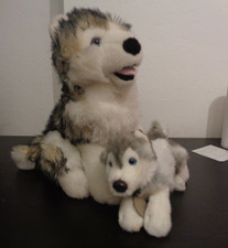 Plush cuddly husky for sale  DEESIDE