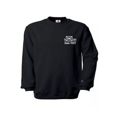 Pulli pzgrenbtl 391 gebraucht kaufen  Langerwehe