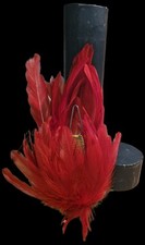 Plumet officier casque d'occasion  Soyaux