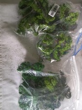 Gauge trees joblot for sale  HULL