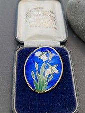 Large blue snowdrop for sale  UK