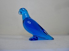 Oiseau perruche perroquet d'occasion  Toulouse-