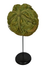 Green hat vintage for sale  TROWBRIDGE