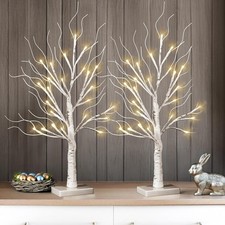 Set birch twig for sale  OAKHAM