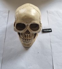 Kurtzy totenkopf deko gebraucht kaufen  Dresden