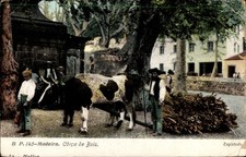 Ak Madeira Portugal, Corca de Bois, Ochse, Holz - 4921858 comprar usado Ak Madeira Portugal, Corca de Bois, Ochse, Holz - 4921858 comprar usado  Enviando para Brazil