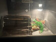 Vivexotic vivarium 2ft for sale  WITHERNSEA