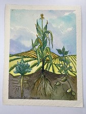 Vicky tesmer watercolor for sale  Cranberry Township