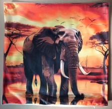 African elephant square for sale  SITTINGBOURNE