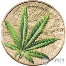 Marijuana cannabis sativa usato Marijuana cannabis sativa usato  Ciampino