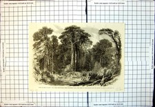 Old great south for sale  UK