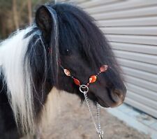 Miniature horse show d'occasion  Expédié en France