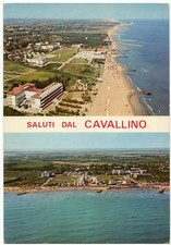 Cavallino venezia saluti usato  Italia