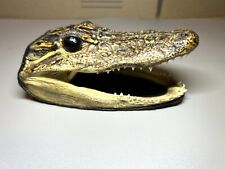 Gator dave real for sale  Casper